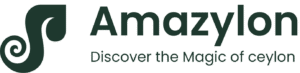 AMAZYLON LOGO
